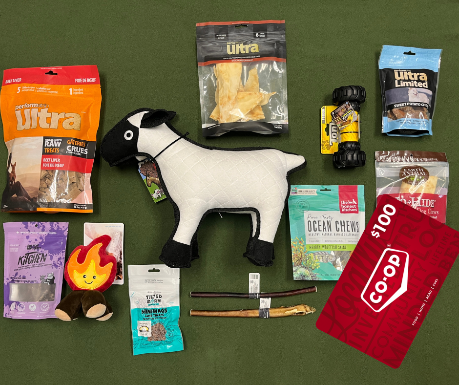 Dog Package