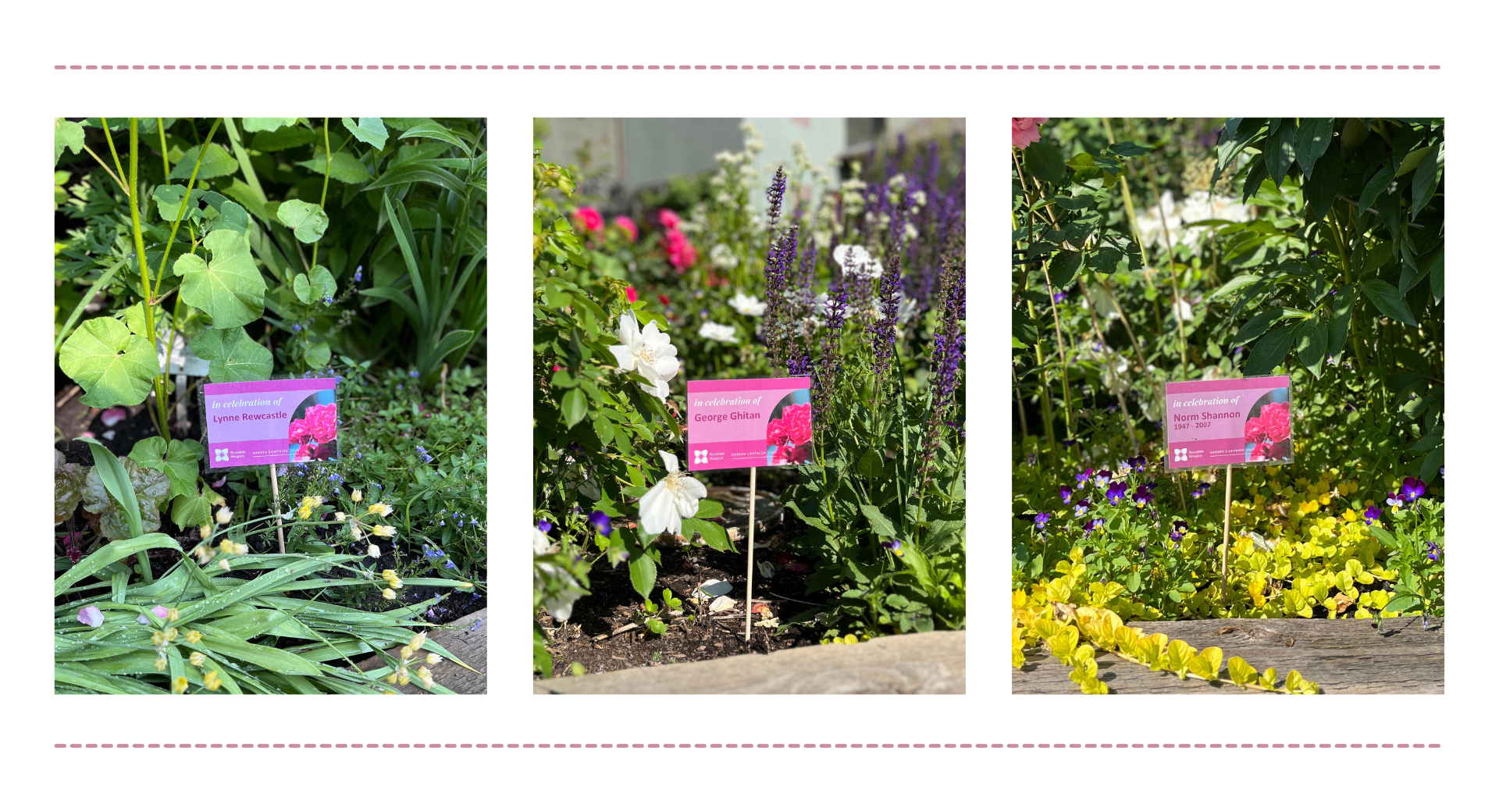 RD2025_GardenPics